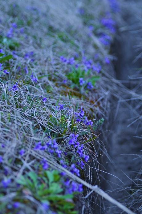 DSC_0182.JPG