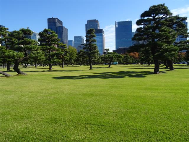 DSC07445_R.JPG