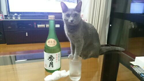 rblog-20170815202614-01.jpg