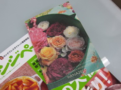 IMG_8724_サイズ変更.JPG