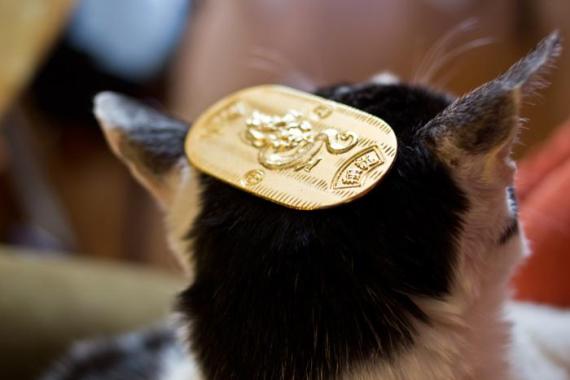 画像はイメージです