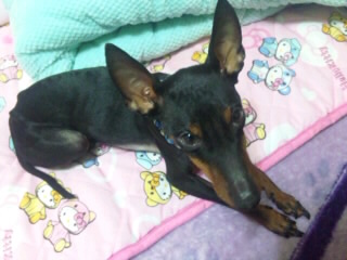 SH3D47480001.jpg