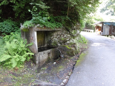 DSC01642.JPG