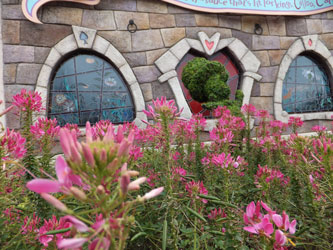 2012Flower47