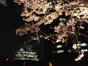 桜城.jpg
