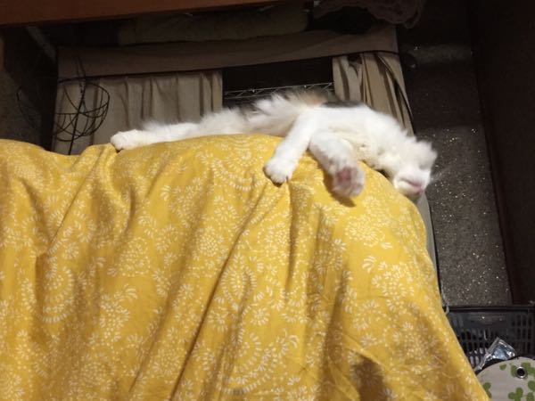 rblog-20150603175759-01.jpg