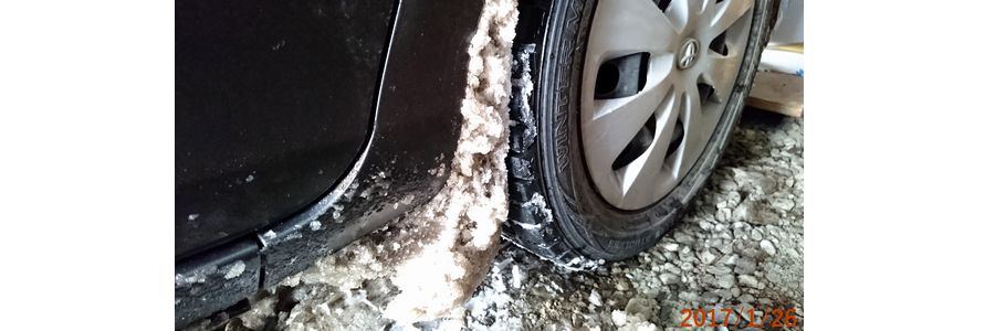 １／２６雪がびっしり.jpg
