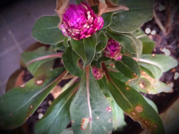 rblog-20150728202527-02.jpg