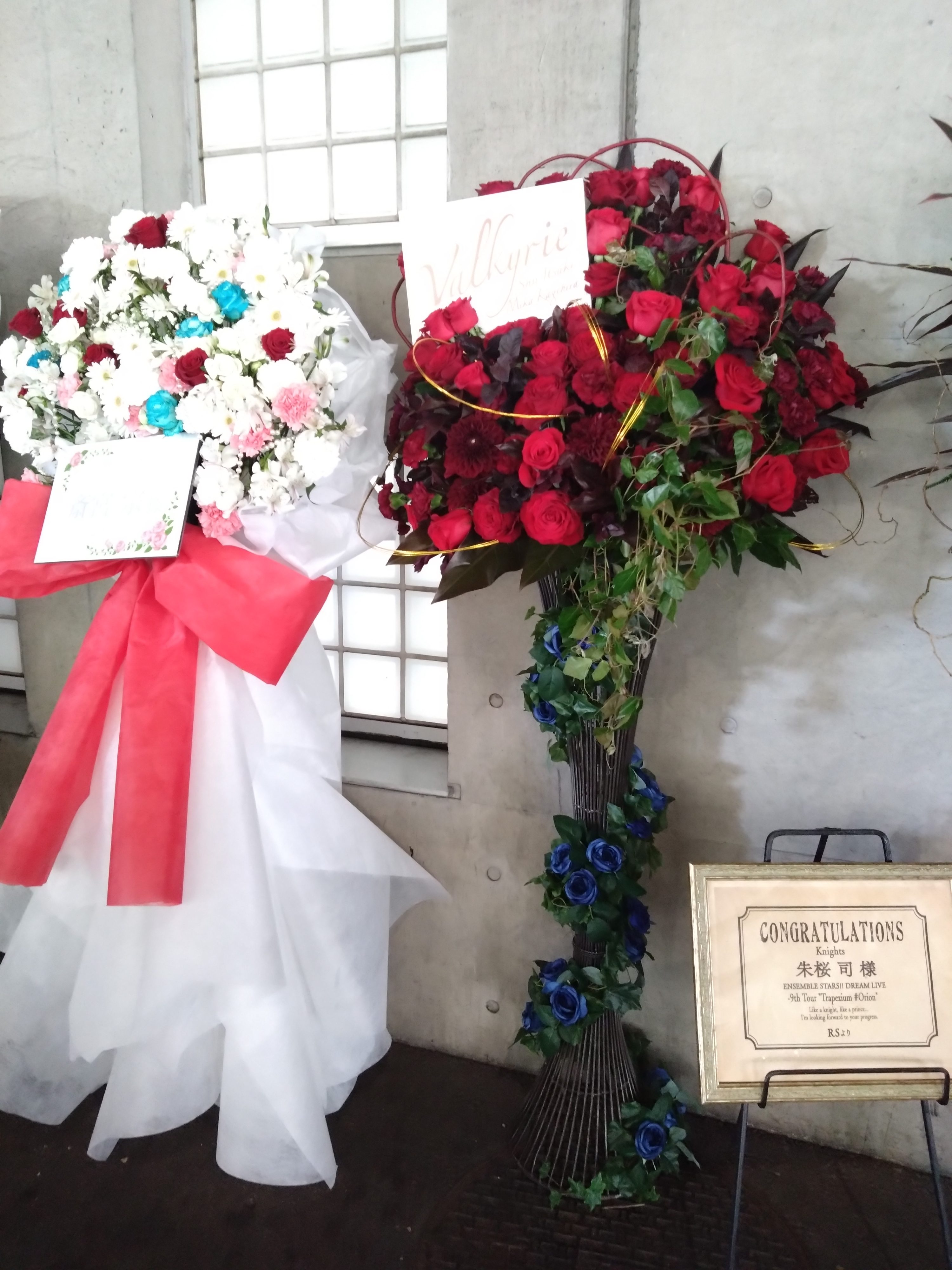 11月22日のお出かけ あんさんぶるスターズ！！DREAM LIVE -9th