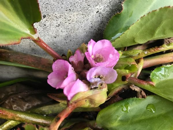 rblog-20170223222019-04.jpg