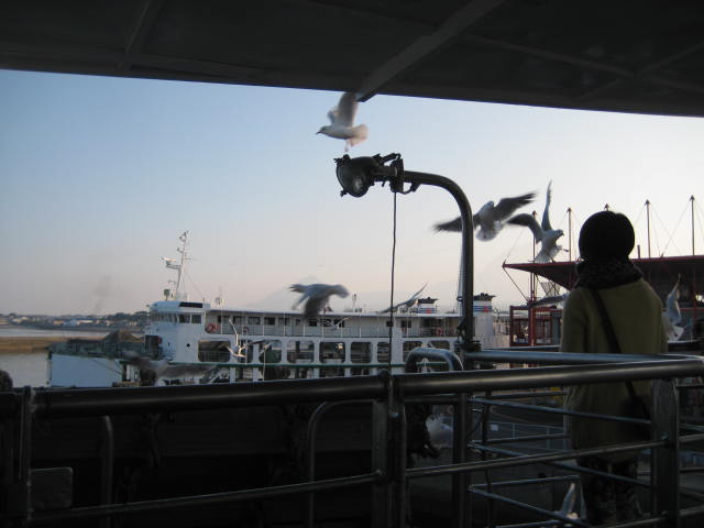IMG_0205.JPG