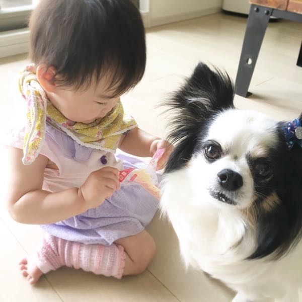 rblog-20160520095753-01.jpg
