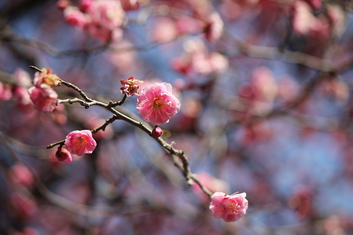 2015.2.131.jpg