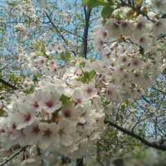 rblog-20150501105950-00.jpg