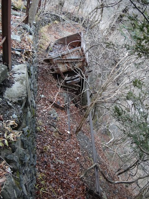 DSC00085-1.jpg