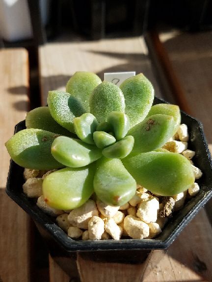 rblog-20181119112301-08.jpg