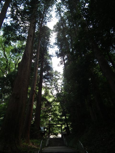 DSCF5757.JPG