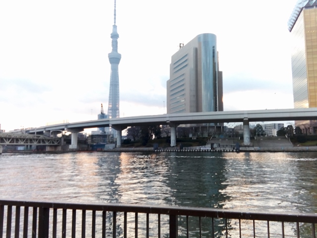 IMG_20160206_070551 (640x480).jpg
