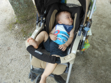DSCN3089.jpg
