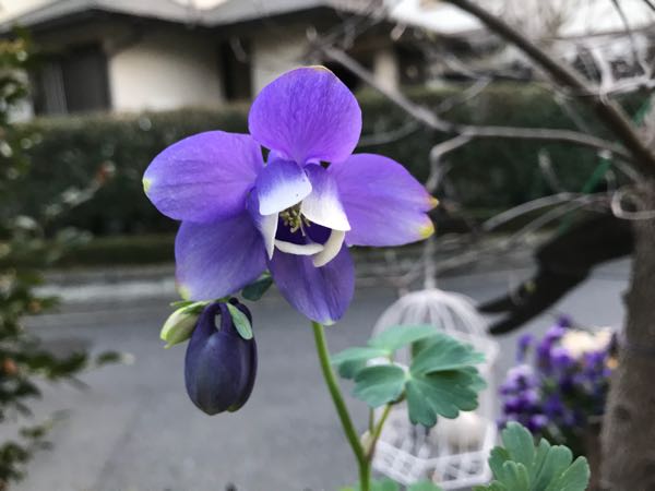 rblog-20180328191025-05.jpg