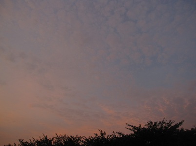 IMG_9399.JPG