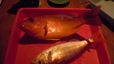 DSCN3593.jpg
