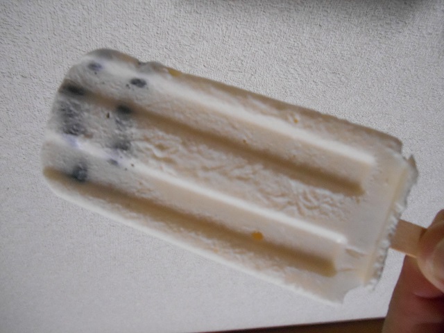 DSCN1087.JPG