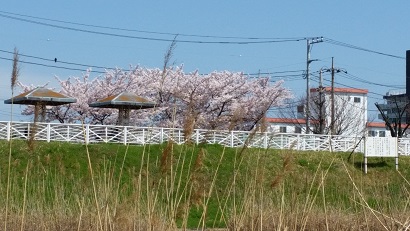 20150402_123352.jpg