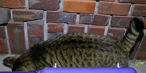 5DA_9061-9.jpg