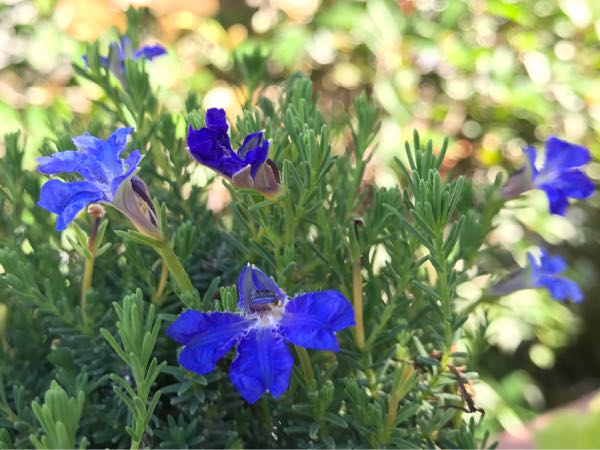 rblog-20181029111210-01.jpg