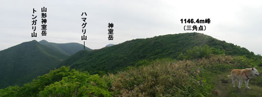 ykmr1-b