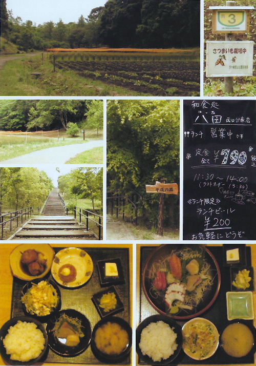 茅ヶ崎里山公園05