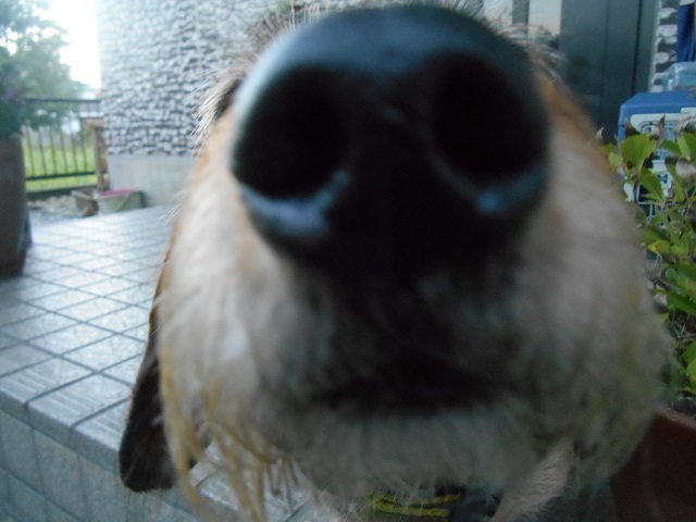 DSCN1092.JPG