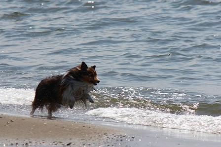 IMG_7025.jpg