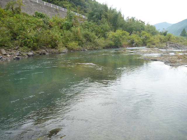 resize0014.jpg