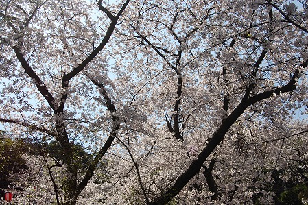 s-DSC_0319.jpg