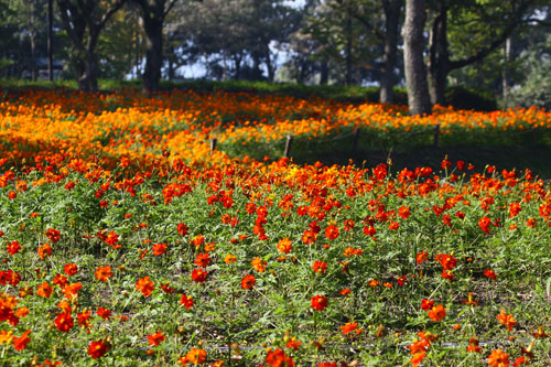 木曽三川公園　26.9.22-4_edited-1.jpg