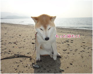 0117昼6.jpg