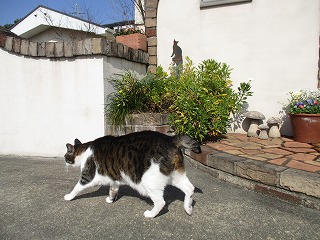 IMG_6765ss.jpg