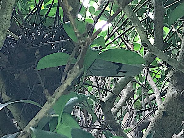 rblog-20180624180303-03.jpg