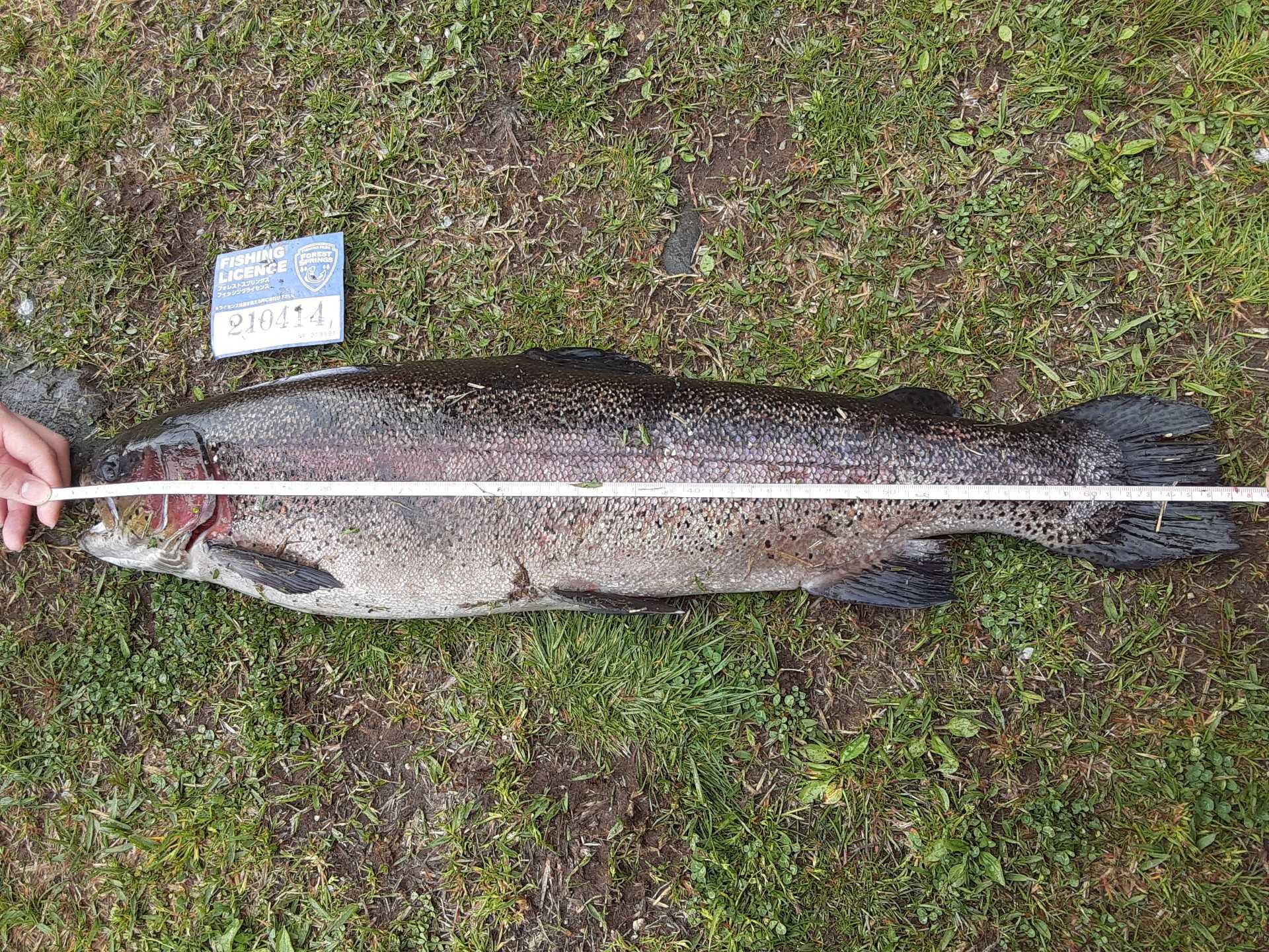 管理釣り場 タカの管釣り釣行記 楽天ブログ