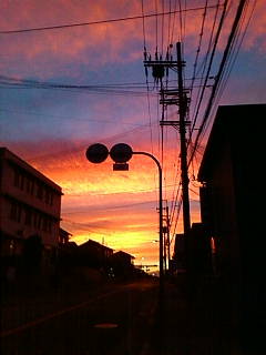 201208280517.jpg