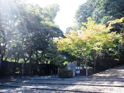 121019_1145~17.jpg
