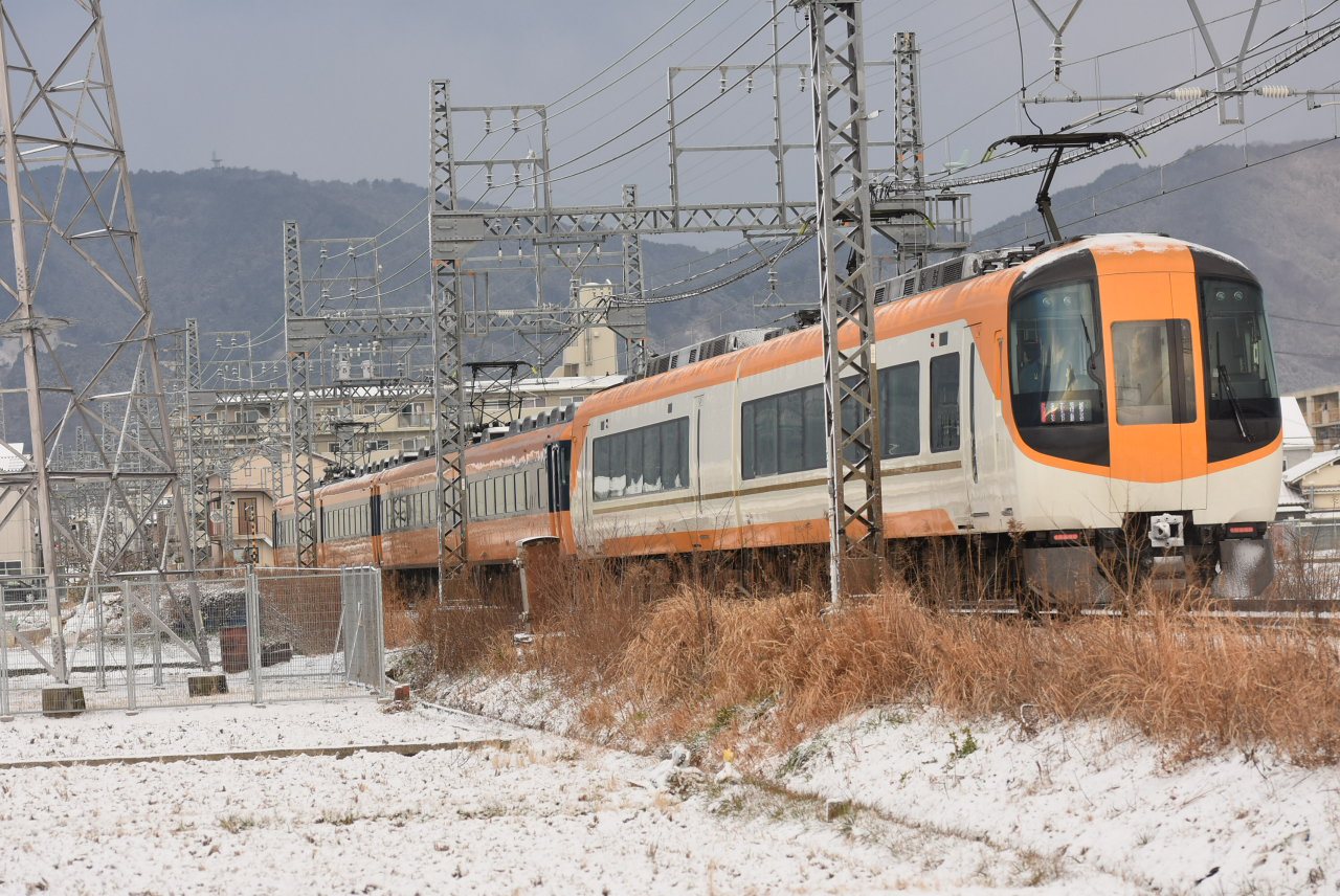 DSC_2409.JPG