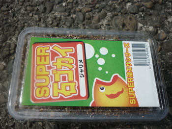 P1080757.JPG