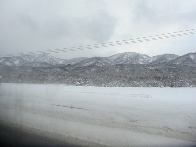 DSC09820_R.JPG