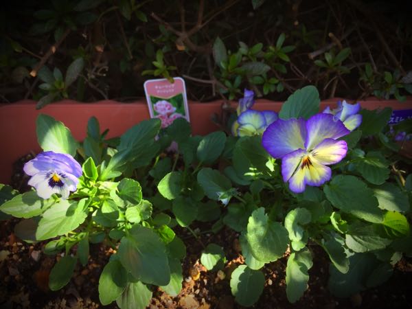 rblog-20151025172805-02.jpg
