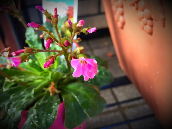 rblog-20151229111114-01.jpg