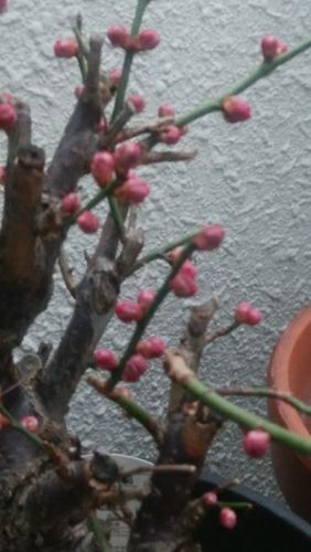 rblog-20180118043103-01.jpg