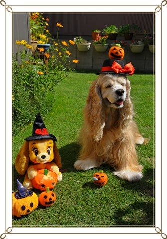 2012　ハッピーハロウィン..♪.JPG